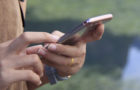 Nützliches Tool: Die NABU-App „Vogelwelt“