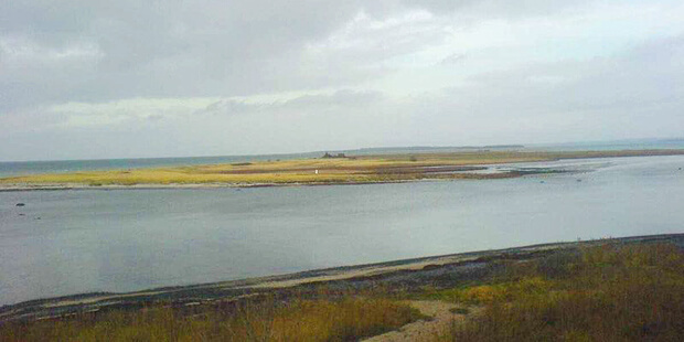 Langenwerder: Kleines Eiland, große Vogelwelt