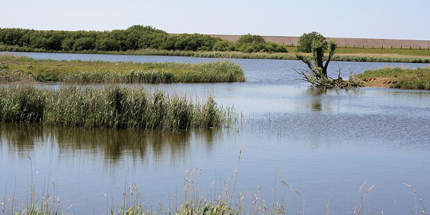 Das Katinger Watt in Schleswig-Holstein