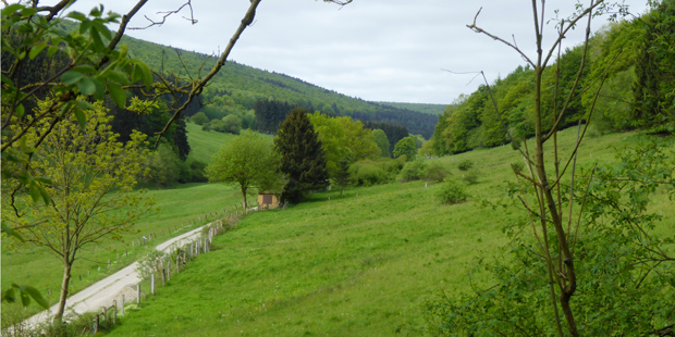 Der Solling in Niedersachsen