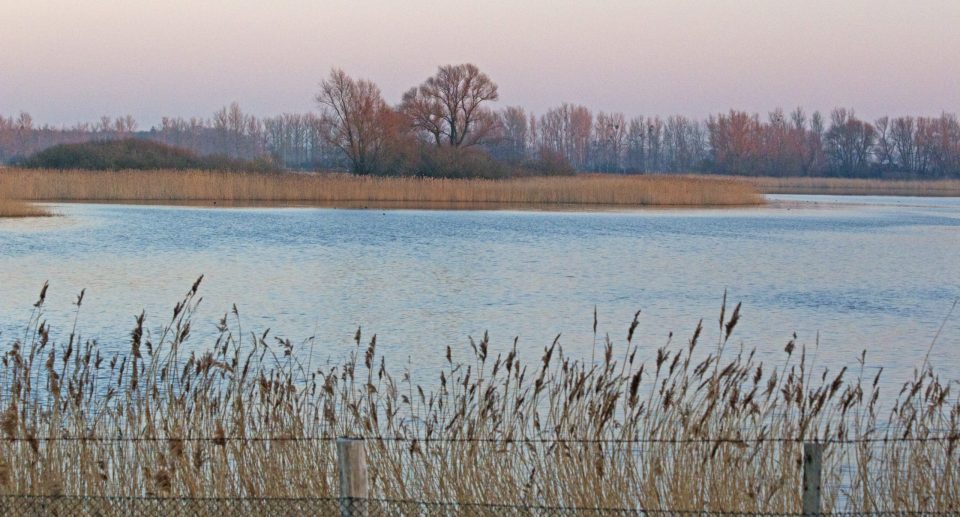 Der Neolith-Teich in Sachsen-Anhalt