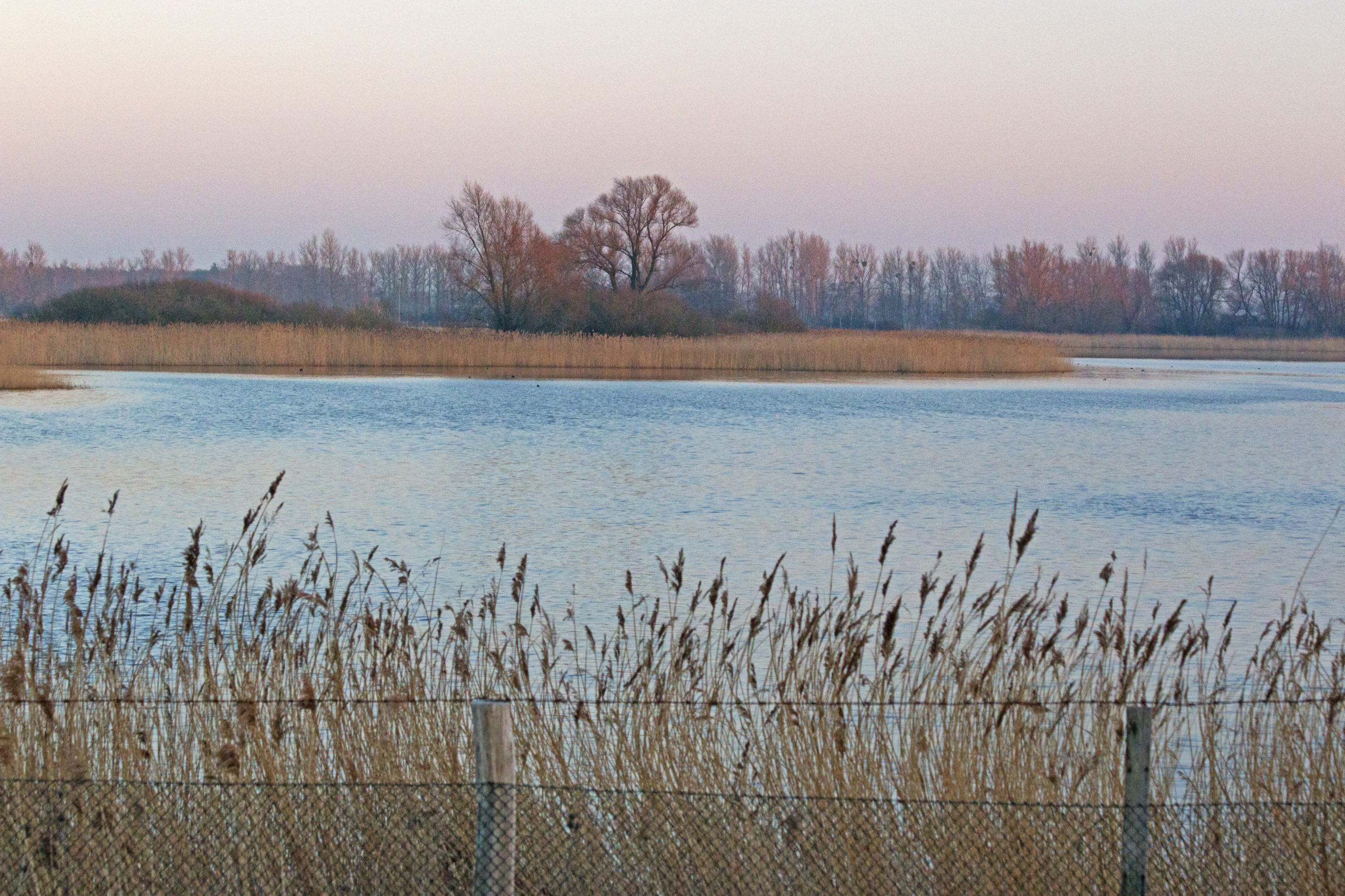 Der Neolith-Teich in Sachsen-Anhalt