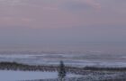 Winterbeobachtung: Vögel im Wattenmeer