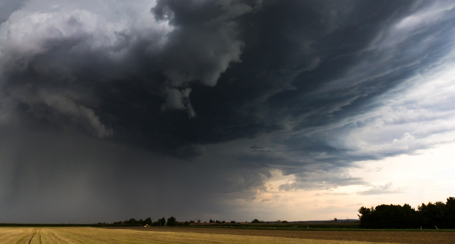 Was tun Wildtiere bei Unwetter?