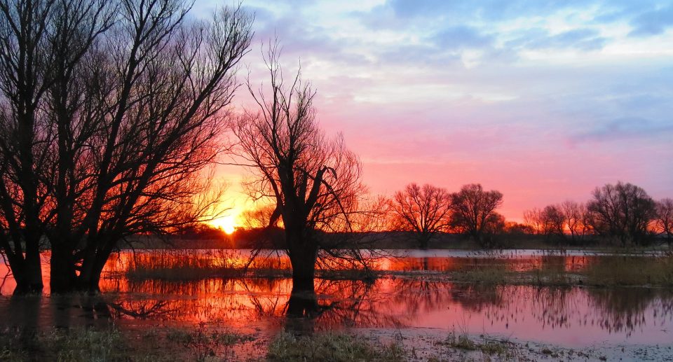 Hotspot am Fluss: Der Nationalpark Unteres Odertal