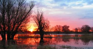 Hotspot am Fluss: Der Nationalpark Unteres Odertal
