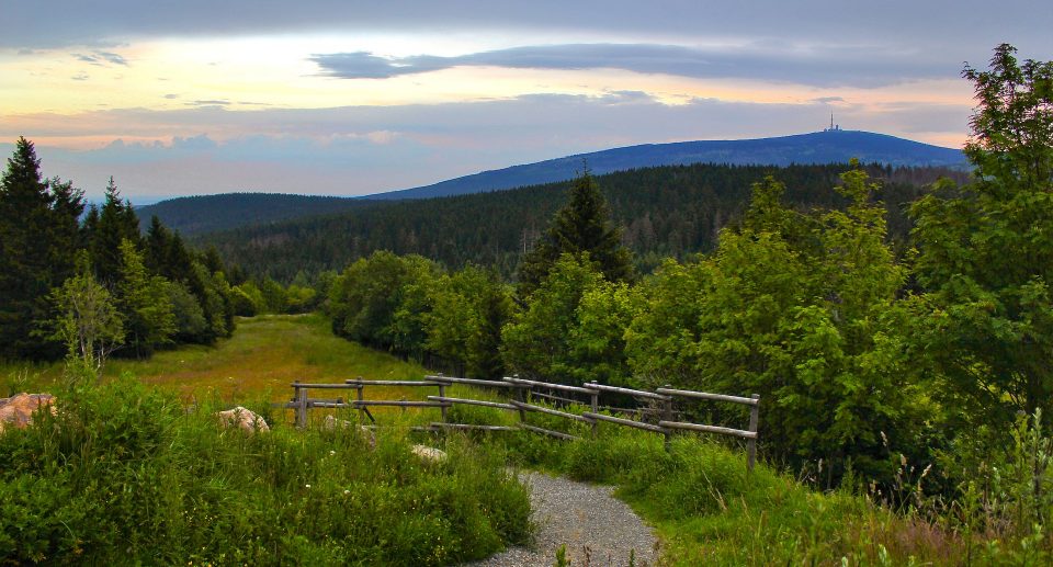 Vogelbeobachtung auf dem Brocken