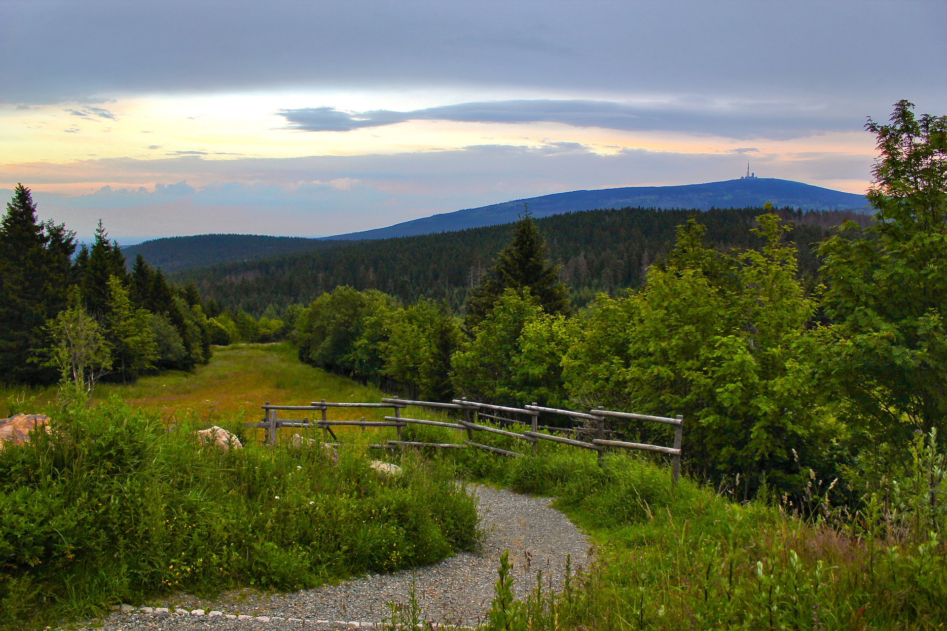 Vogelbeobachtung auf dem Brocken