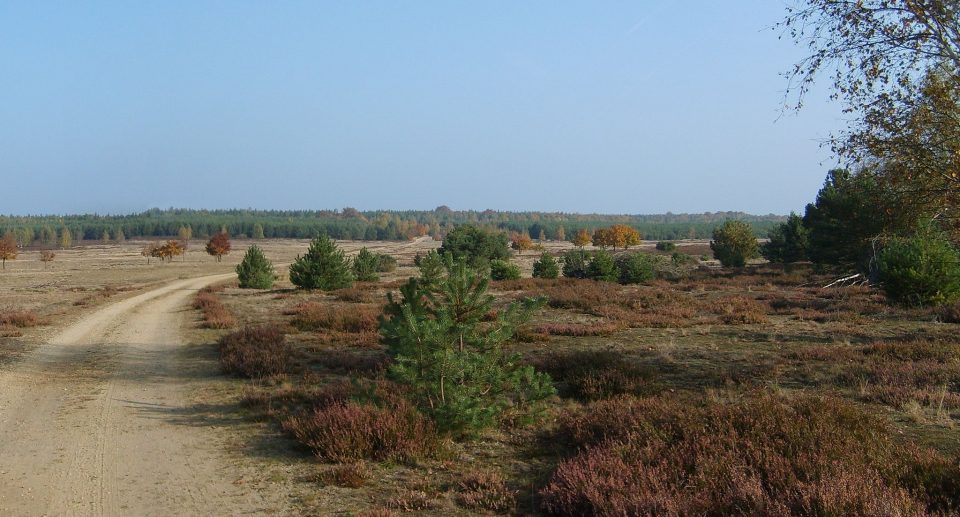 Wandern und Beobachten im NSG Forsthaus Prösa