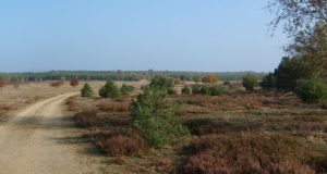 Wandern und Beobachten im NSG Forsthaus Prösa