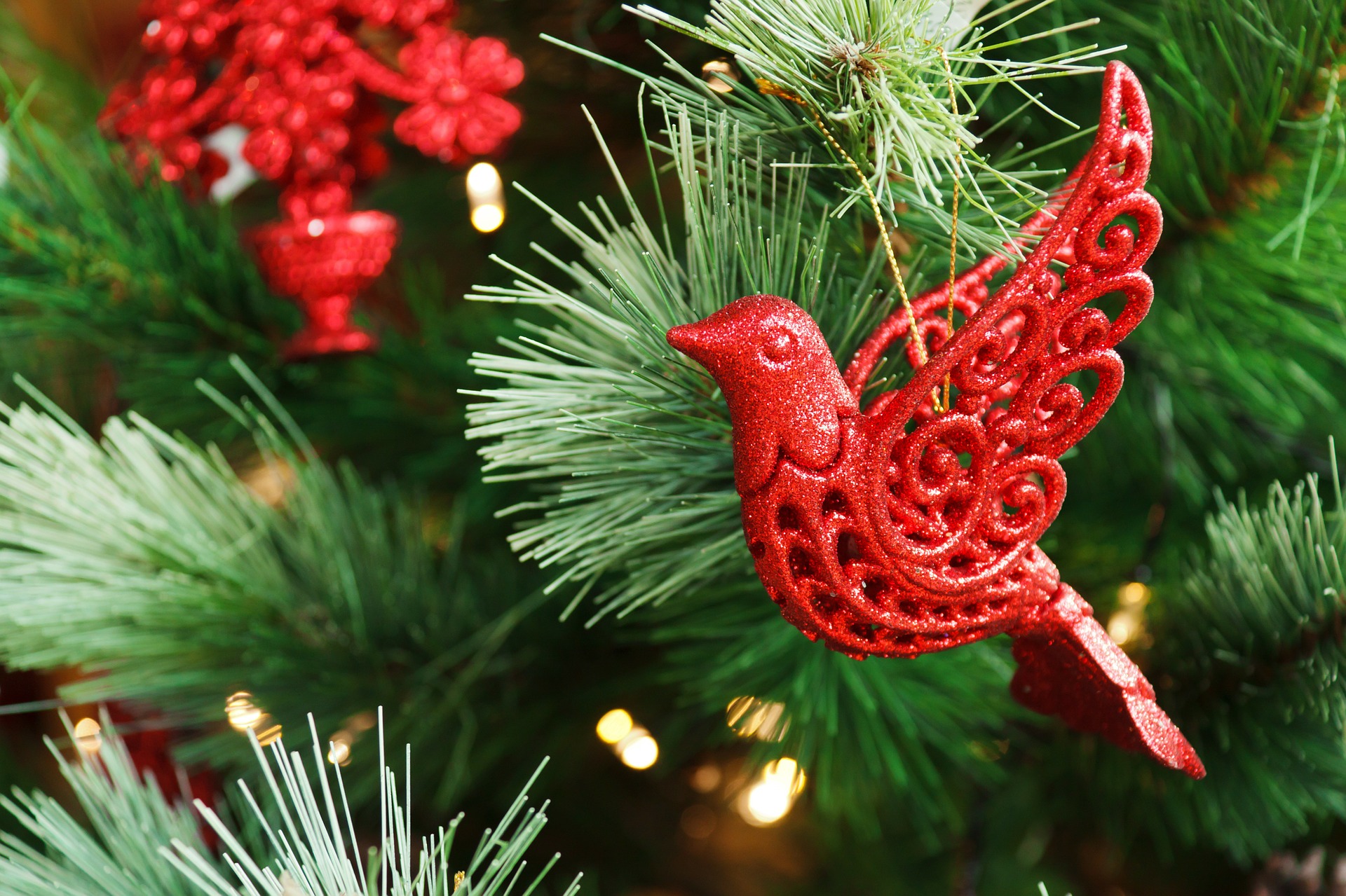 Weihnachtliche Geschenkideen für Vogelfreunde