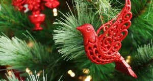 Weihnachtliche Geschenkideen für Vogelfreunde