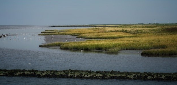 Eine Landschaft mit Meer und Küste.