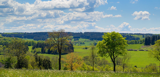 Vögel beobachten am Vogelsberg