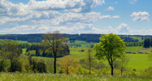 Vögel beobachten am Vogelsberg