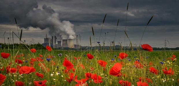 Eine grüne Wiese mit Blumen vor einem Braunkohletagebau