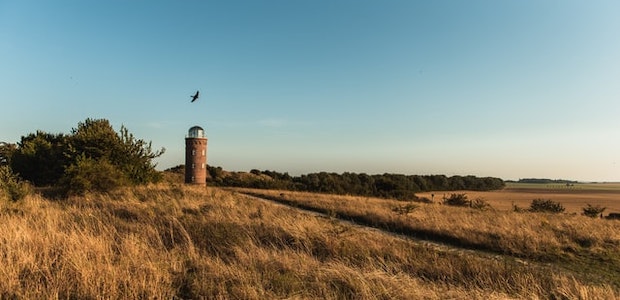 Ein Leuchtturm mit einem Vogel auf Ru%CC%88gen.