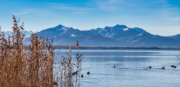 Vogelbeobachtung in Deutschland: Unterwegs in Bayern