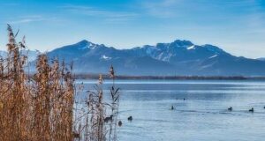 Vogelbeobachtung in Deutschland: Unterwegs in Bayern