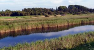 Wallnau – Naturschutzgebiet und Vogelparadies