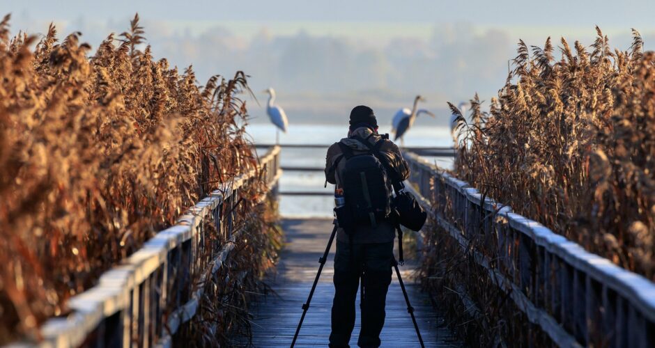 Vogelfotografie – Fünf wichtige Tipps