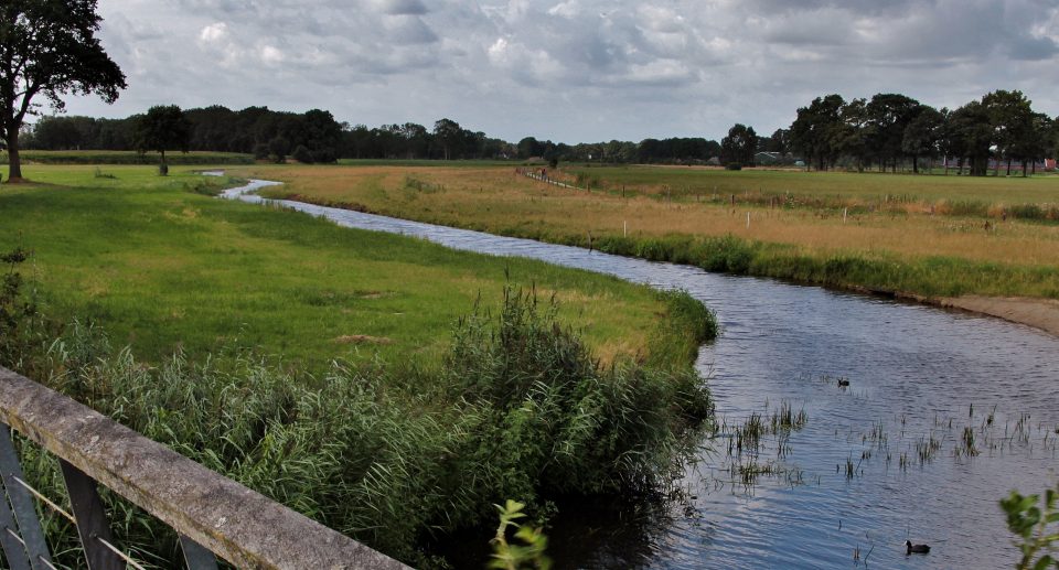 Rambower Moor: Einzigartiges Naturreservat mit Vogelbeobachtungsstation