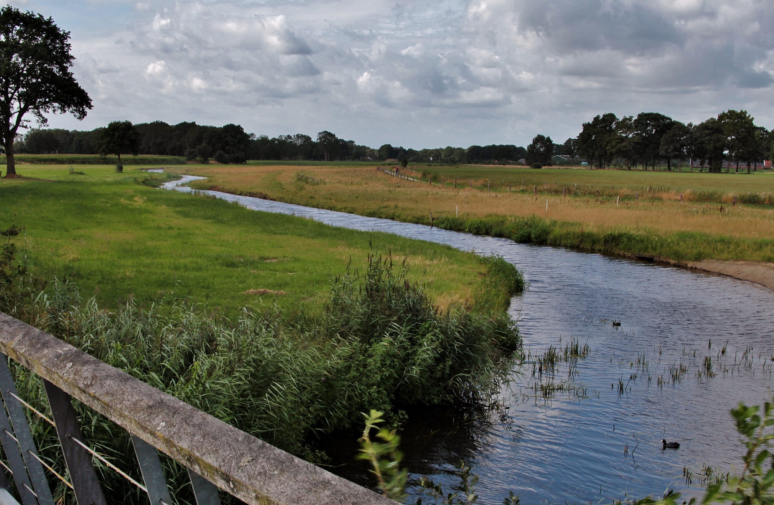 Rambower Moor: Einzigartiges Naturreservat mit Vogelbeobachtungsstation