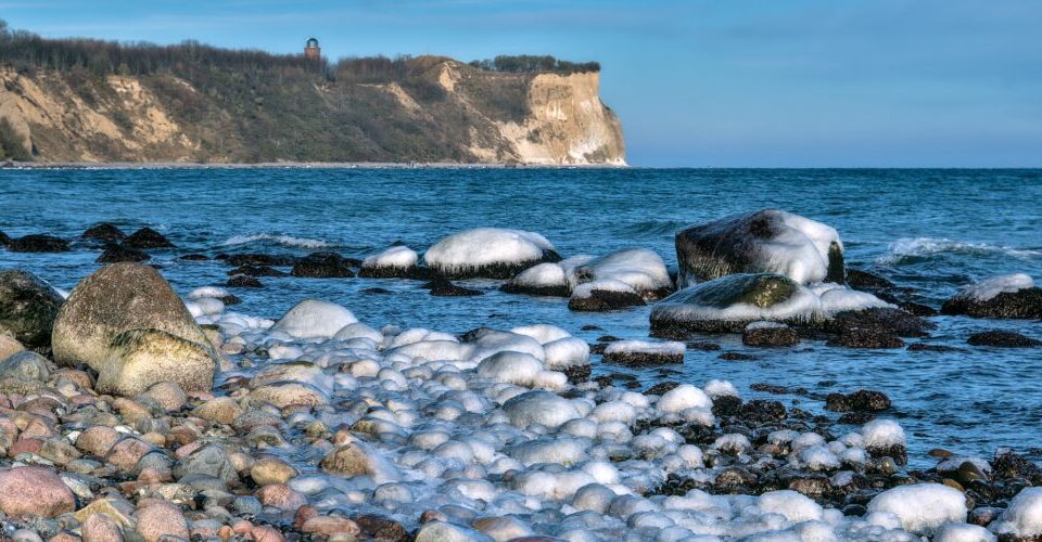 Winterliche Beobachtungen: Wasservögel auf Rügen