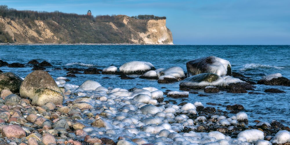 Winterliche Beobachtungen: Wasservögel auf Rügen