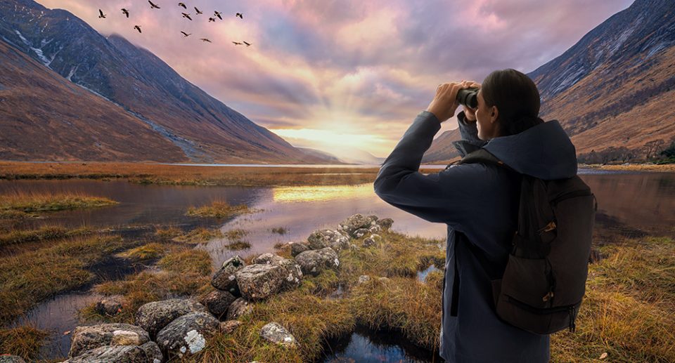 Das Foto zeigt eine Person mit Rucksack in der Natur bei der Vogelbeobachtung mit einem Fernglas.