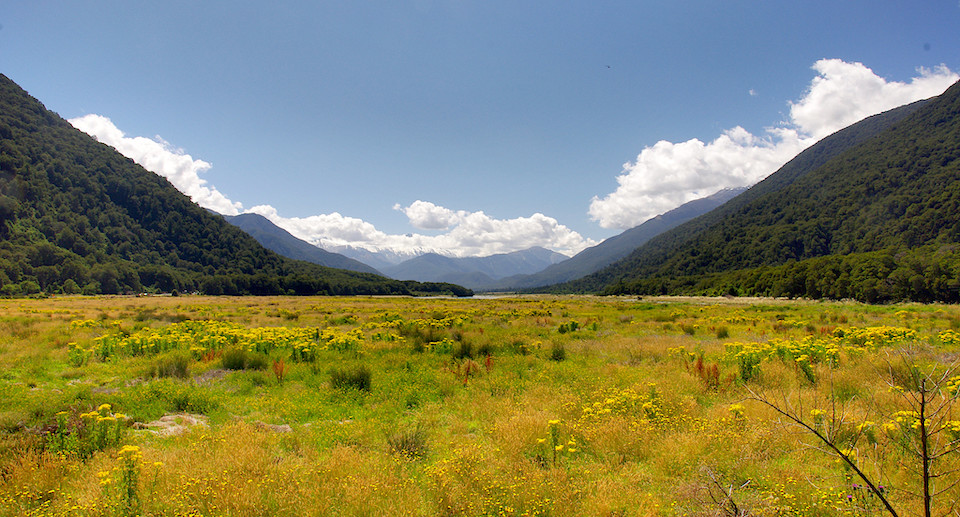 Im Vordergrund eine Wiesenlandschaft mit blühenden Wildblumen. Die Wiese wird in den Hintergrund verlaufend eingerahmt durch mit Bäumen bewachsene Hügel.