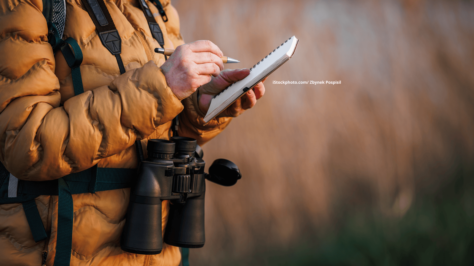 Berühmte Vogelbeobachter: Peter Berthold