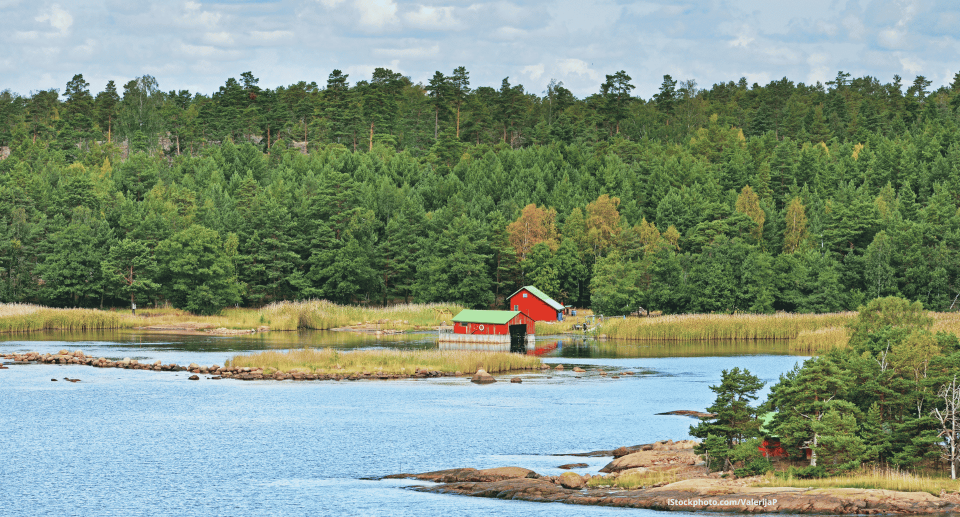 Vogelbeobachtung in Finnland