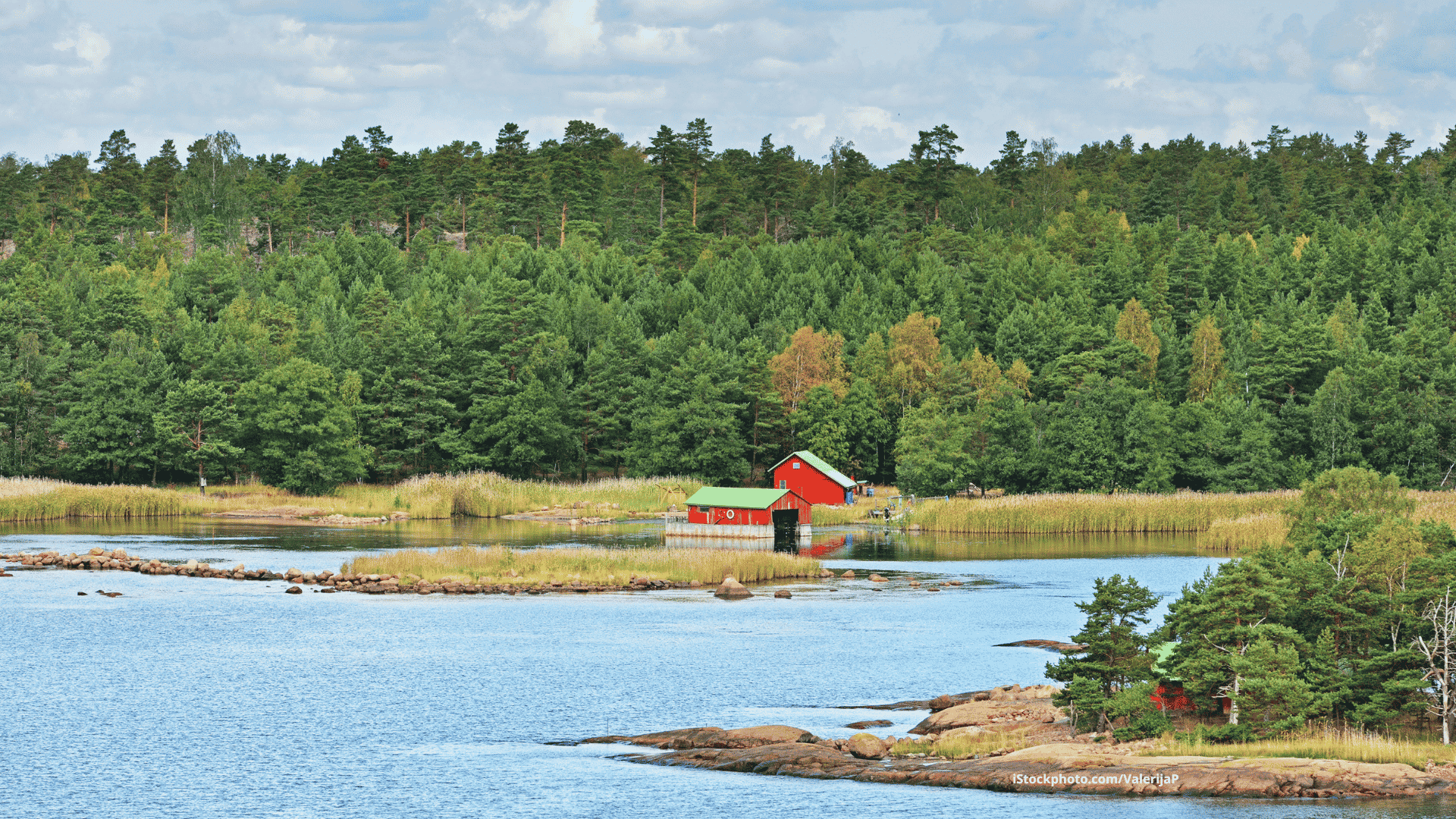 Vogelbeobachtung in Finnland